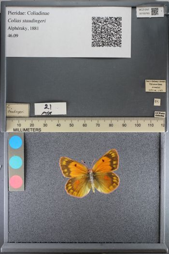 Media type: image;   Entomology 193783
